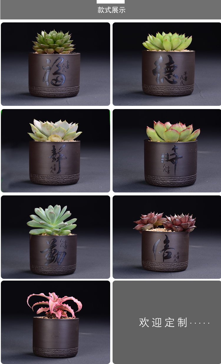 Fleshy flower pot in creative ceramic custom engraving LOGO text breathable contracted the desktop, the plants potted violet arenaceous basin