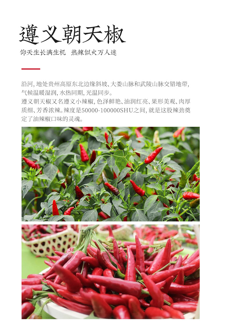 安享好物 安享A级油辣椒-辣染油辣椒 团标 