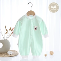 Лед и зеленый медведь (четыре сезона без костей моделей)