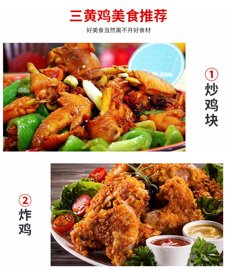 态谷食代 生态散 3个月 襄阳三黄鸡 2.5斤*2只 图5