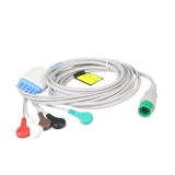 Three/Five/Beast's Hearts придерживаются 