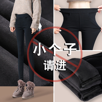 Small leggings women wear autumn and winter 150cm thick eight points Black small feet black pants plus velvet pants