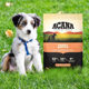 ອາເມລິກາ ACANA puppy dog ​​food ນຳເຂົ້າ ປາ ແລະ ໄກ່ ຄົບວົງຈອນ ອາຫານຕ່າງປະເທດ ອາຫານພິເສດ 5.9kg