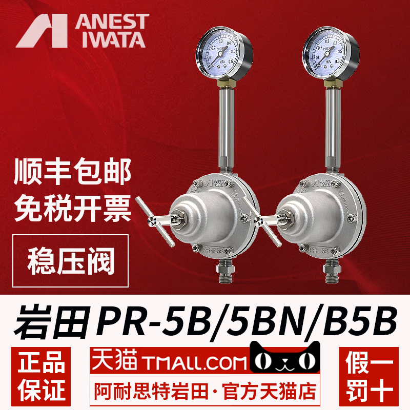 Japan's Iwada Imported PR-5B 5BN B5B Coatings Reflow Back Pressure Valve Air Regulation Valve Diagram Pump