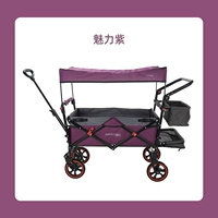 Ct6plus очаг фиолетовый