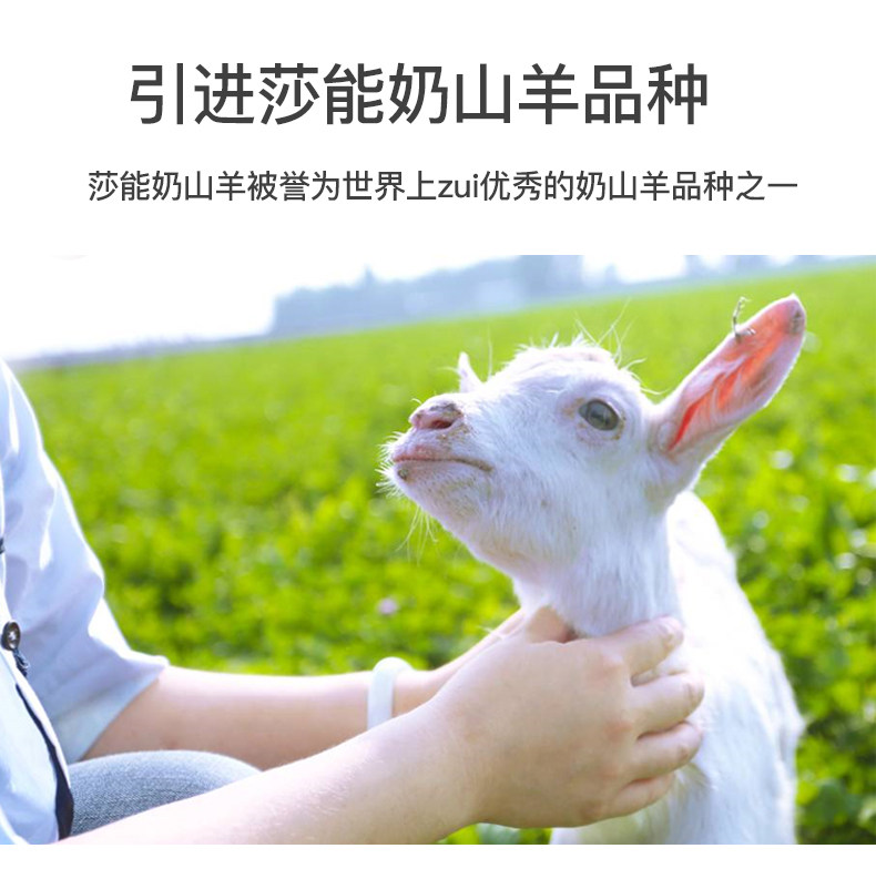 羊妙妙 山羊奶 物流脱膻 香浓无腥味 180g*6袋 图3