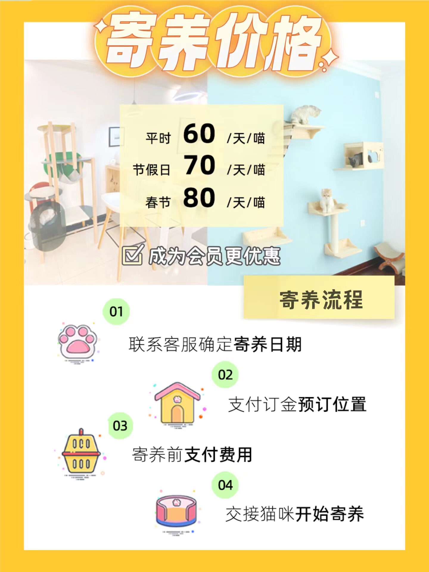 无敌猫民宿：广州佛山猫咪寄养新体验，上门接送绝育散养全搞定！-宠物寄养-淘宝百科网