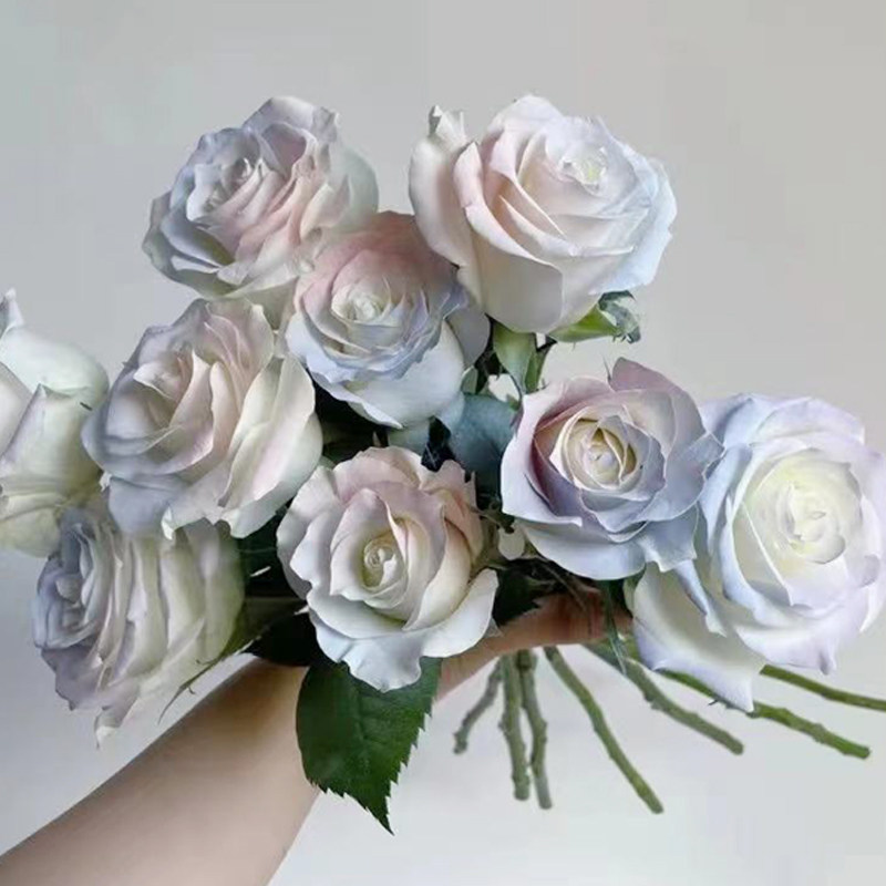 Good easy to dye flower spray pearlescent spray color agent dry flower dye Morandi color crushed ice blue spray paint colorant