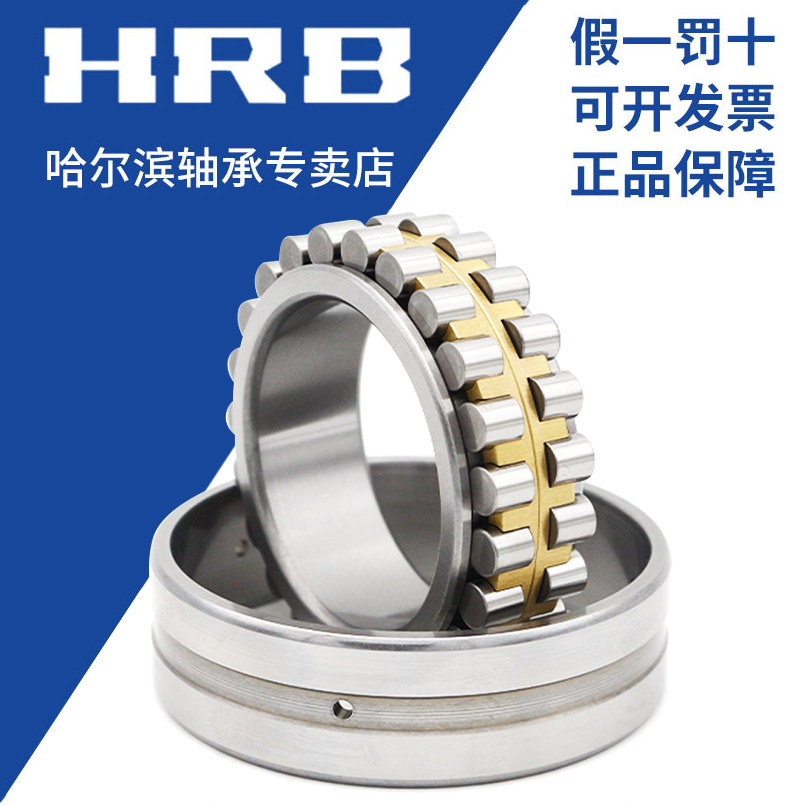 Harbin Bearings Original NN3005K NN3005K W33 P5 P4 P4 Row Cylindrical Roller Precision Machine Tool Bearings