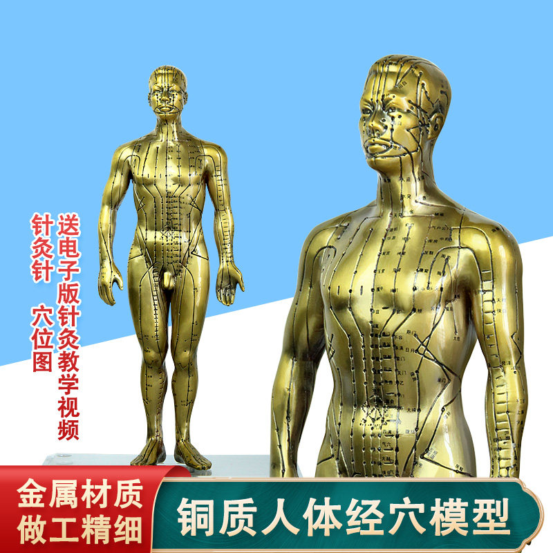 铜质中医人体经络针灸穴位模型铜质针灸腧穴模型铜人50cm