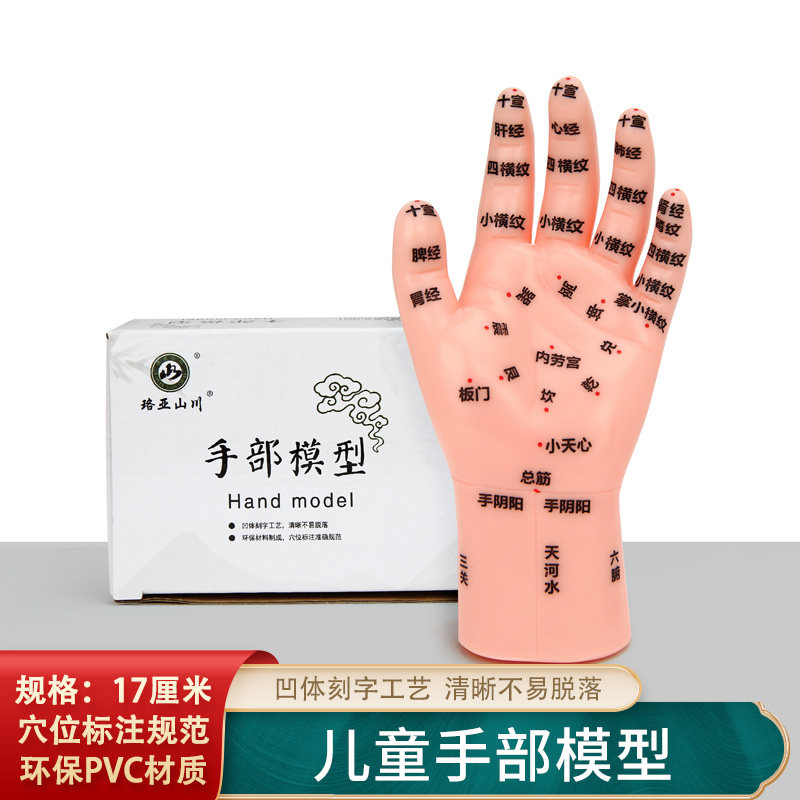 儿童推拿手部模型按摩手反射区穴位小儿推拿经络通家居参考图解