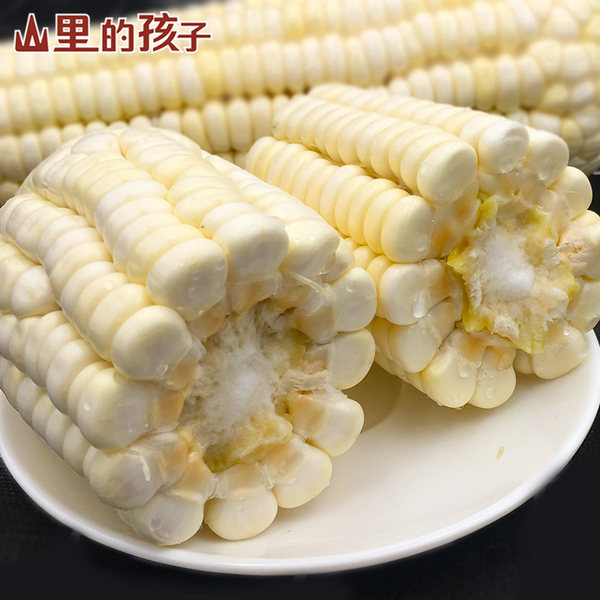 山里的孩子 贵州非转基因新鲜现摘 糯白玉米 带箱5斤 天猫优惠券折后￥19.9包邮（￥24.9-5）