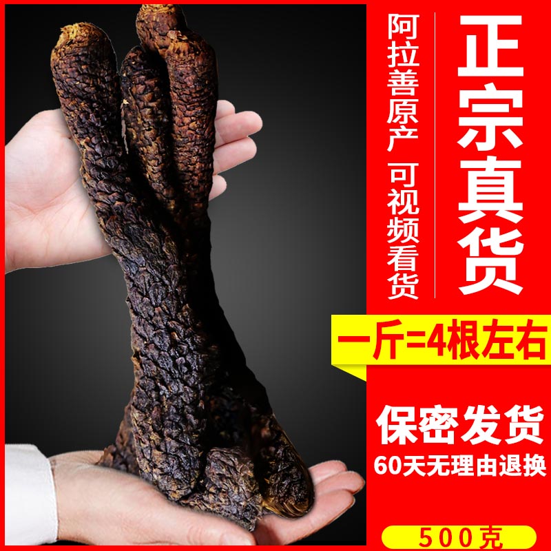 Cistanche whole root Inner Mongolia Alxa oil cistanche soaking wine ingredient non-wild special grade lock yang 3 sticks 500g