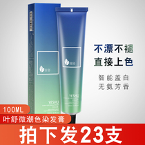 Japanese wet cool color cream hair salon special single dye cover white hair salon dyeing cream wholesale