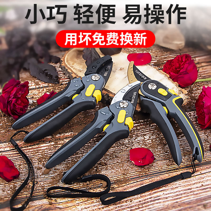 Gardening scissor prunes prunes prunes prunes prunes Prunes Prunes of flowers Potted branches Prunes Prunes cut and cut branches The cut of the branches