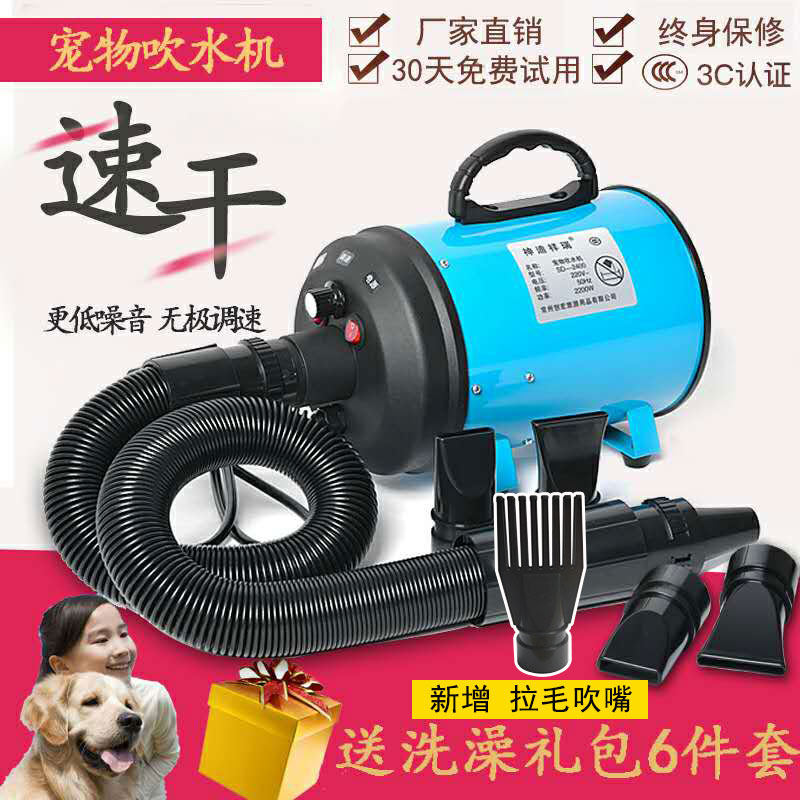 Pet Household Blow Water Machine Muted High Power Blow Hair Machine Cat Pooch Drying Hair Dryer Golden Hair Teddy Large Dog