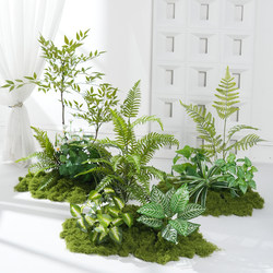 Simulated Green Plants, Artificial Plants, Moss, Micro-Landscape Combinations, Indoor Layout, Window Display, Aisle Decoration