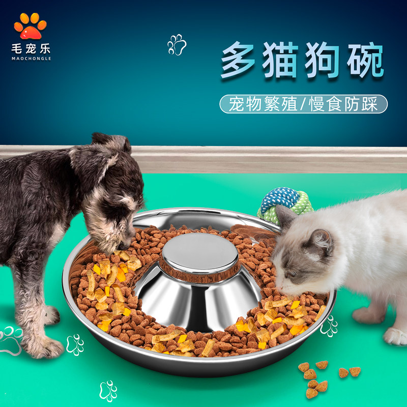 Stainless steel cat bowl petals multi-cat large dog slow food sub-food pot kitten soup plate anti-overturning pet bowl anti-stepping