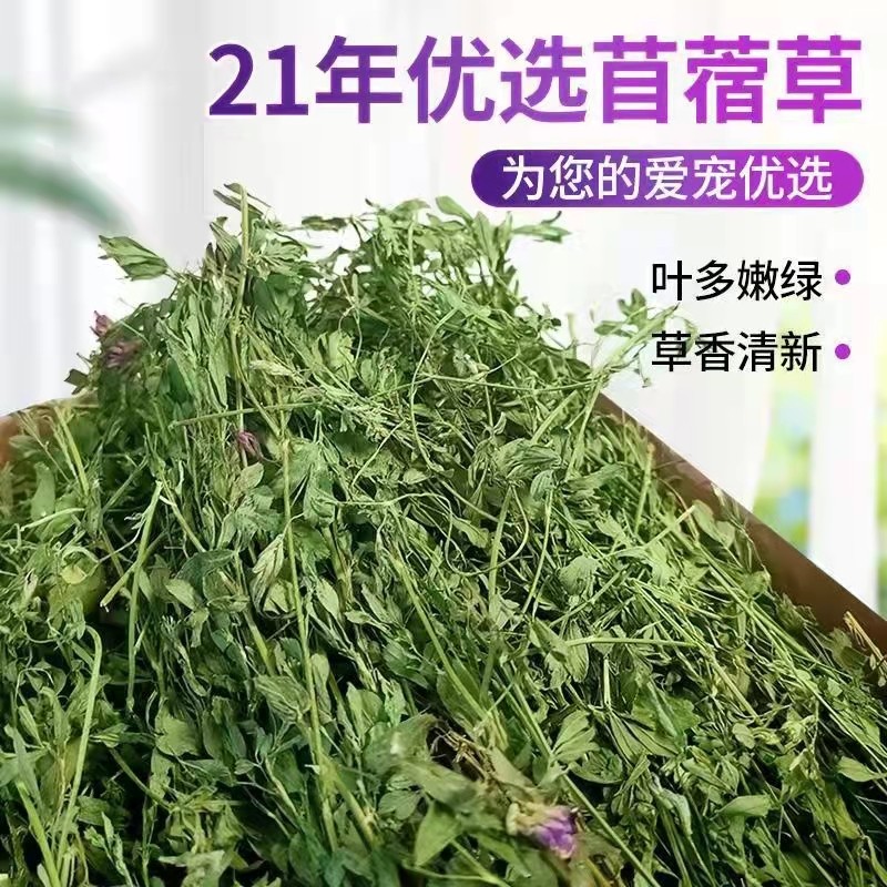 Purple Flower Clover Grass 2021 New Grass Natural Drying Clover Grass Young Rabbit Dragon Cat Guinea Pig 1KG Pet Grain Grass