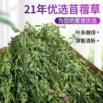 Purple Flower Clover Grass 2021 New Grass Natural Drying Clover Grass Young Rabbit Dragon Cat Guinea Pig 1KG Pet Grain Grass