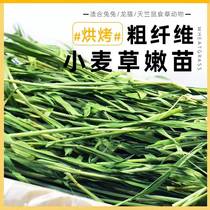 Rabbit Grass Grain Wheat New Grass Drying Nutrition Multidimensional Rabbit Dragon Cat Wheat Grass feed 200 gr Bulk 2 copies