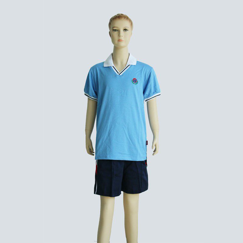 Manufacturers custom Langcheng school uniform (Zhongyuan primary and secondary school) school uniform sportswear summer short-sleeved autumn and winter