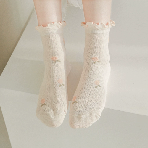 Весенние и летние носки заключения