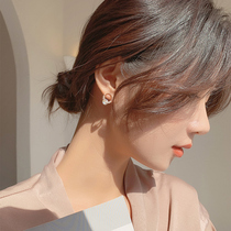 Minimalist 100 hitch circle zircons 2022 new tide earrings delicately inlaid with earbuds high-grade silver needle earrings