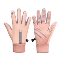 Winter ski gloves touch screen electric car plus velvet thickening warm riding waterproof windproof anti-slip outdoor 824