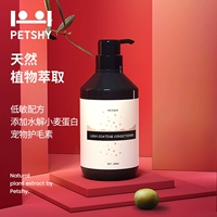Petshy Dog-Записывающий тупик Тедди посвященный мягкий и не завязывающий пушистый питомец