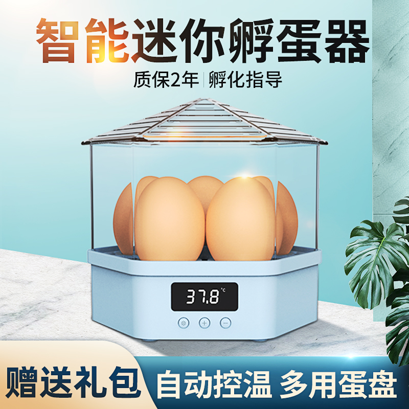 Weizhen chick incubator small household mini incubator fully automatic intelligent children's experimental bird egg incubation egg box