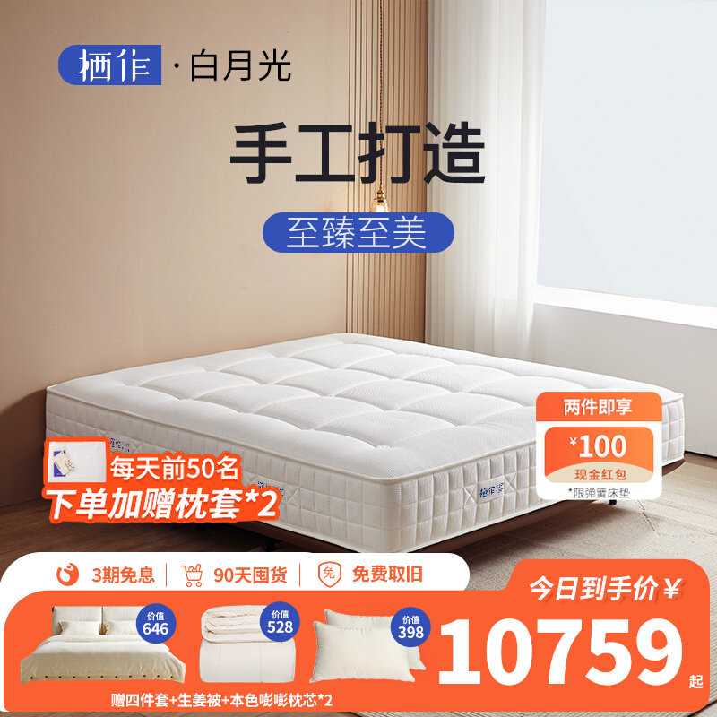 Matthew Matthew Memory Cotton Mat for Home Simmons Independent Spring Star Hotel Mat