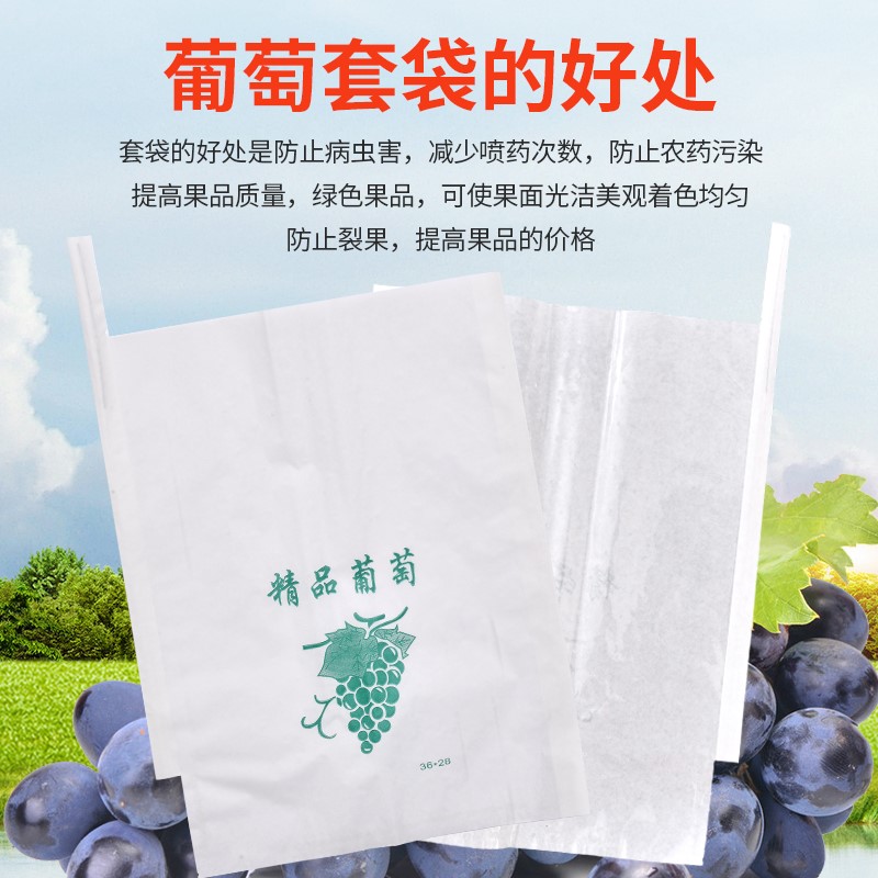 水果防虫保护袋葡萄袋子莲雾苹果芒果防鸟包果袋半透明纸袋透气