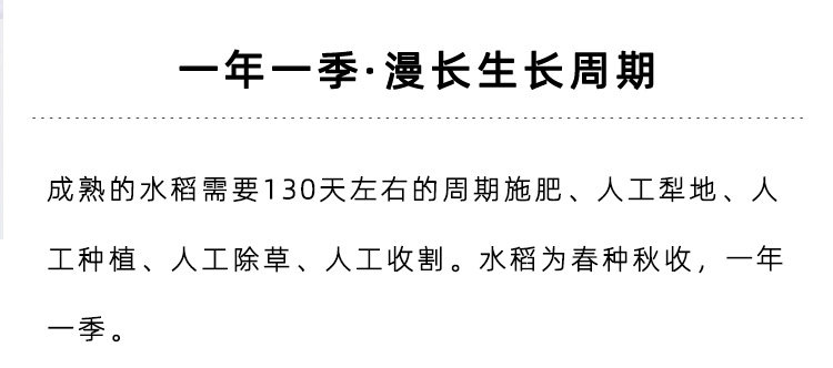 index_02.jpg