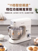 Shunran 3008 Stuffing Mixer, Commercial Automatic Meat Stuffing Mixer, Multifunctional Wonton Stuffing Mixer