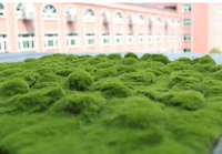 Мос квадрат