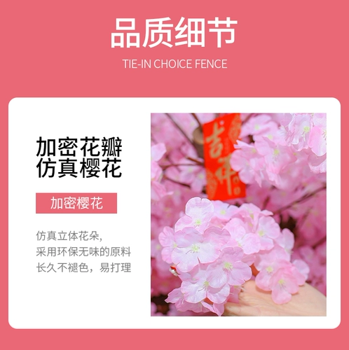 Интернет -знаменитость Punch японский стиль вишневый дерево