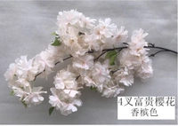 4 вишня вишня вишня (цвет шампанского)