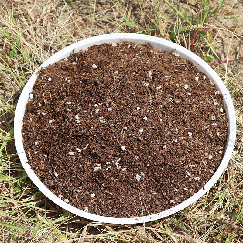 Floral trophic soil Organic generic cultivation of cultivated soil cultivation Multi-meat plants sterile organic soil seed Vegetable Soil