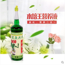 Potted hydroponic plants universal concentrated liquid flower-growing and fleshy universal nutrient solution Green Horticultural planting flower fertilizer