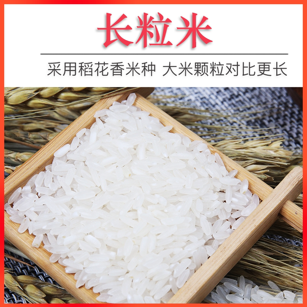 预售 米凯 五常大米 10斤 天猫优惠券折后￥39.9包邮（￥44.9-5）