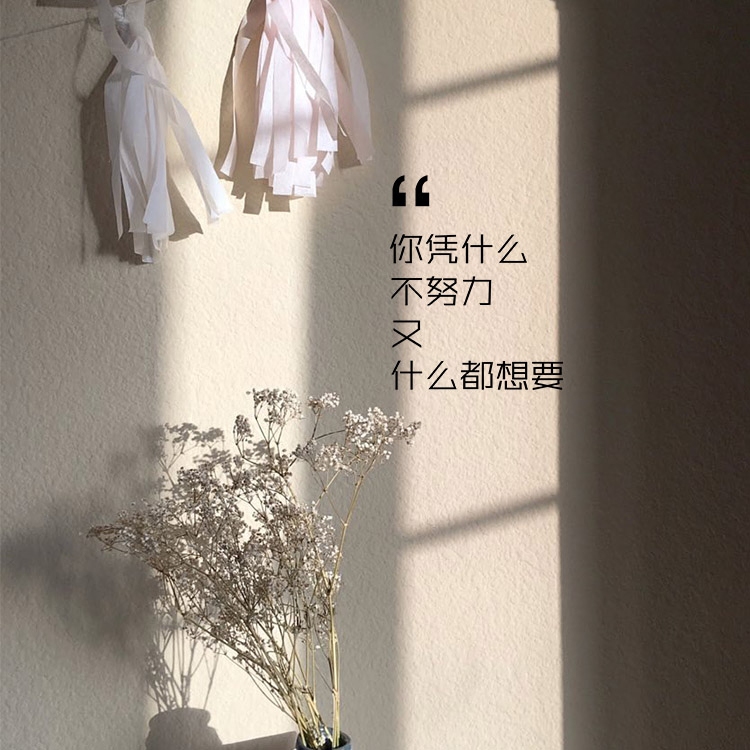 ins Wall stickers Why don't you work hard and want everything in the bedroom classroom Bedroom wall encouragement slogans