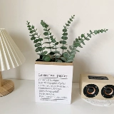 Стиль ins древний эвкалипт деньги листья ветви маленькие свежие имитация зеленых растений искусственные цветочные украшения цветочные композиции украшения в скандинавском стиле