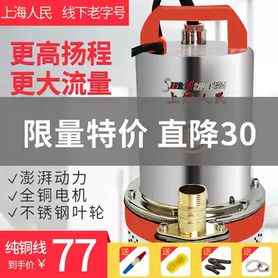 Shanghai people DC submersible pump 48v60v volt agricultural battery pump 12v pump electric vehicle pump