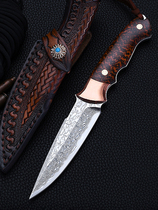 Outdoor calcine with small knife in hand with sharp knives anti-body cold weapon Military knife tritium gas Damascus steel straight knife