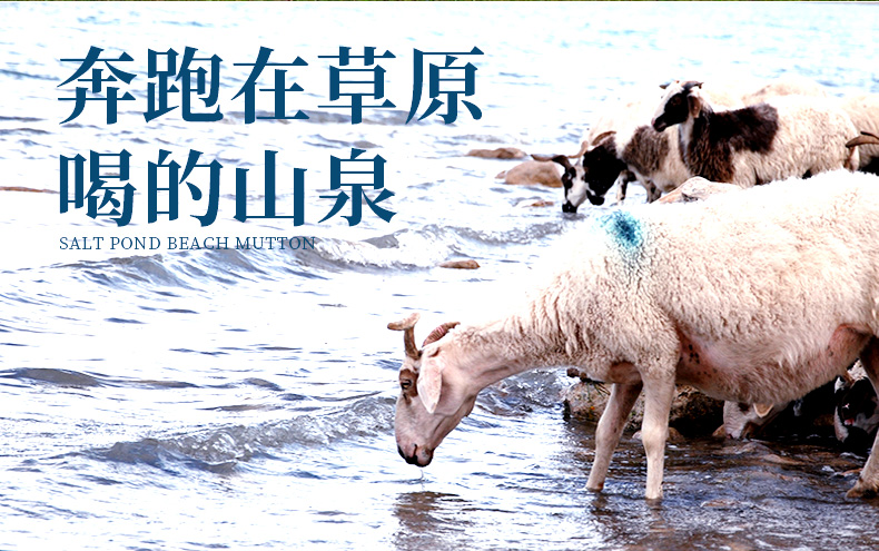 牛穆穆 宁夏盐池滩羊肉 半只礼盒 18斤 新鲜现杀 图10