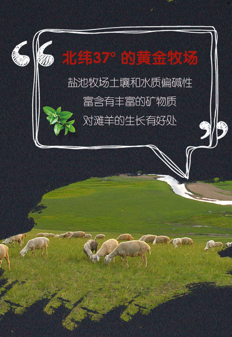 上合峰会指定羊肉 牛穆穆 宁夏盐池滩羊战斧羊排 500g 图9