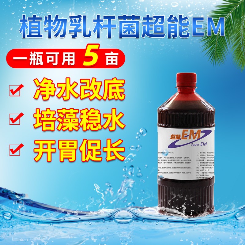 China-Italy and super-energy EM lactic acid lactic acid bacteria pedalits stable water drop PH value nitrite water purification modified bottom aquiculture lutico