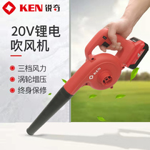 Ruiqi Rechargeable Hair dryer BL8032E dual-purpose blower computer dust collector lithium vacuum cleaner industrial grade