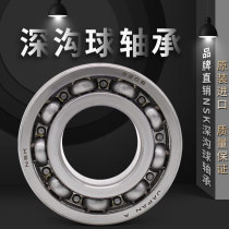 Imported NSK bearing 6010DDU ZZ bearings